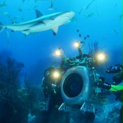 Deep Sea - galeria zdjęć - filmweb
