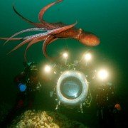 Deep Sea - galeria zdjęć - filmweb