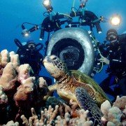 Deep Sea - galeria zdjęć - filmweb