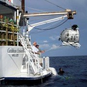 Deep Sea - galeria zdjęć - filmweb