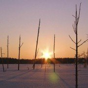 Wild Russia - galeria zdjęć - filmweb