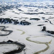 Wild Russia - galeria zdjęć - filmweb
