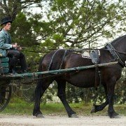 Picnic at Hanging Rock - galeria zdjęć - filmweb