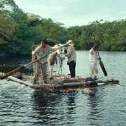 Tragiczna dżungla - galeria zdjęć - filmweb