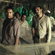 Tragiczna dżungla - galeria zdjęć - filmweb