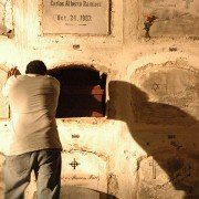 Perro come perro - galeria zdjęć - filmweb