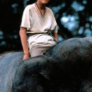 Operation Dumbo Drop - galeria zdjęć - filmweb