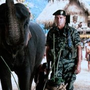 Operation Dumbo Drop - galeria zdjęć - filmweb