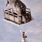 Operation Dumbo Drop - galeria zdjęć - filmweb