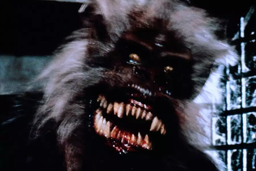 Creepshow - galeria zdjęć - filmweb