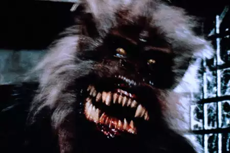 Creepshow - galeria zdjęć - filmweb