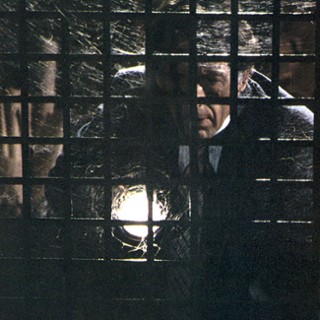 Dexter Stanley &quot;The Crate&quot;