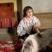 Yours, Mine and Ours - galeria zdjęć - filmweb