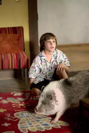 Twoje, moje i nasze - galeria zdjęć - filmweb