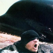 Orka - Wieloryb zabójca - galeria zdjęć - filmweb