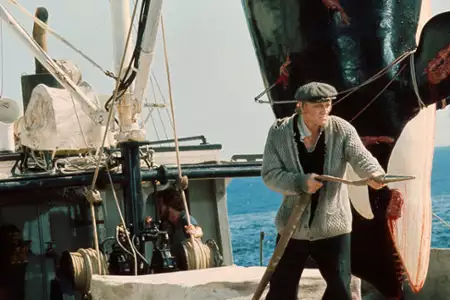 Orka - Wieloryb zabójca - galeria zdjęć - filmweb