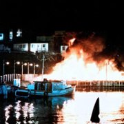 Orca - galeria zdjęć - filmweb