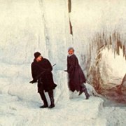 Orka - Wieloryb zabójca - galeria zdjęć - filmweb