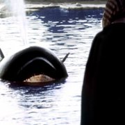 Orca - galeria zdjęć - filmweb