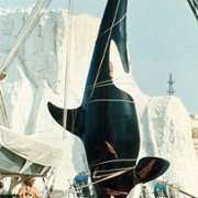 Orca - galeria zdjęć - filmweb