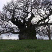 Hollow - galeria zdjęć - filmweb