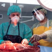 Coroner - galeria zdjęć - filmweb