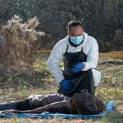 Coroner - galeria zdjęć - filmweb