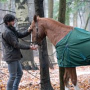Coroner - galeria zdjęć - filmweb