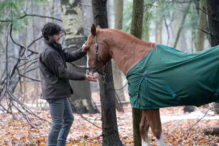 Koroner - galeria zdjęć - filmweb