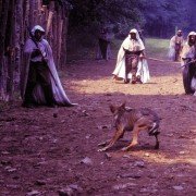 Romasanta - galeria zdjęć - filmweb