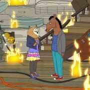 BoJack Horseman - galeria zdjęć - filmweb