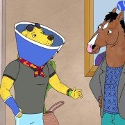 BoJack Horseman - galeria zdjęć - filmweb