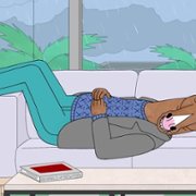 BoJack Horseman - galeria zdjęć - filmweb