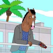 BoJack Horseman - galeria zdjęć - filmweb