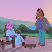 BoJack Horseman - galeria zdjęć - filmweb