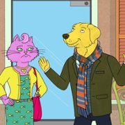 BoJack Horseman - galeria zdjęć - filmweb