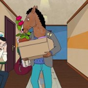 BoJack Horseman - galeria zdjęć - filmweb