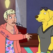 BoJack Horseman - galeria zdjęć - filmweb