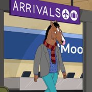 BoJack Horseman - galeria zdjęć - filmweb