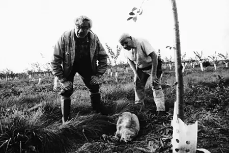 Ropojady - galeria zdjęć - filmweb