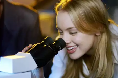 Ptaki nocy - galeria zdjęć - filmweb