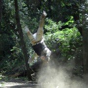Paintball - galeria zdjęć - filmweb