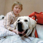 Návštěvníci - galeria zdjęć - filmweb