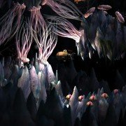 Song of the Deep - galeria zdjęć - filmweb