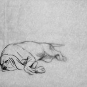 Psie pole - galeria zdjęć - filmweb