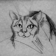 Psie pole - galeria zdjęć - filmweb