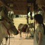 Minha Mãe é Uma Vaca - galeria zdjęć