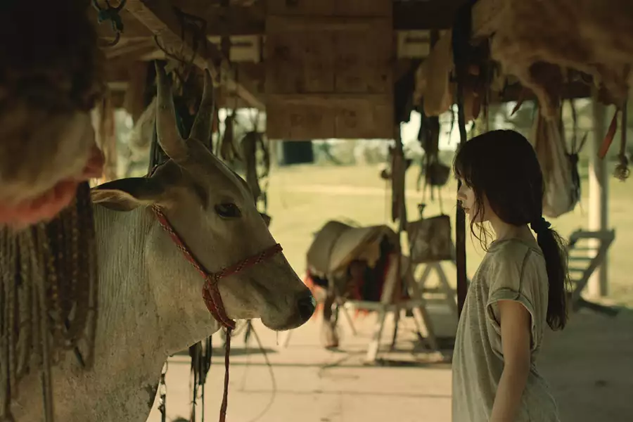 Minha Mãe é Uma Vaca - galeria zdjęć - filmweb