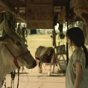 Minha Mãe é Uma Vaca - galeria zdjęć - filmweb