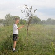 La terre outragée - galeria zdjęć - filmweb